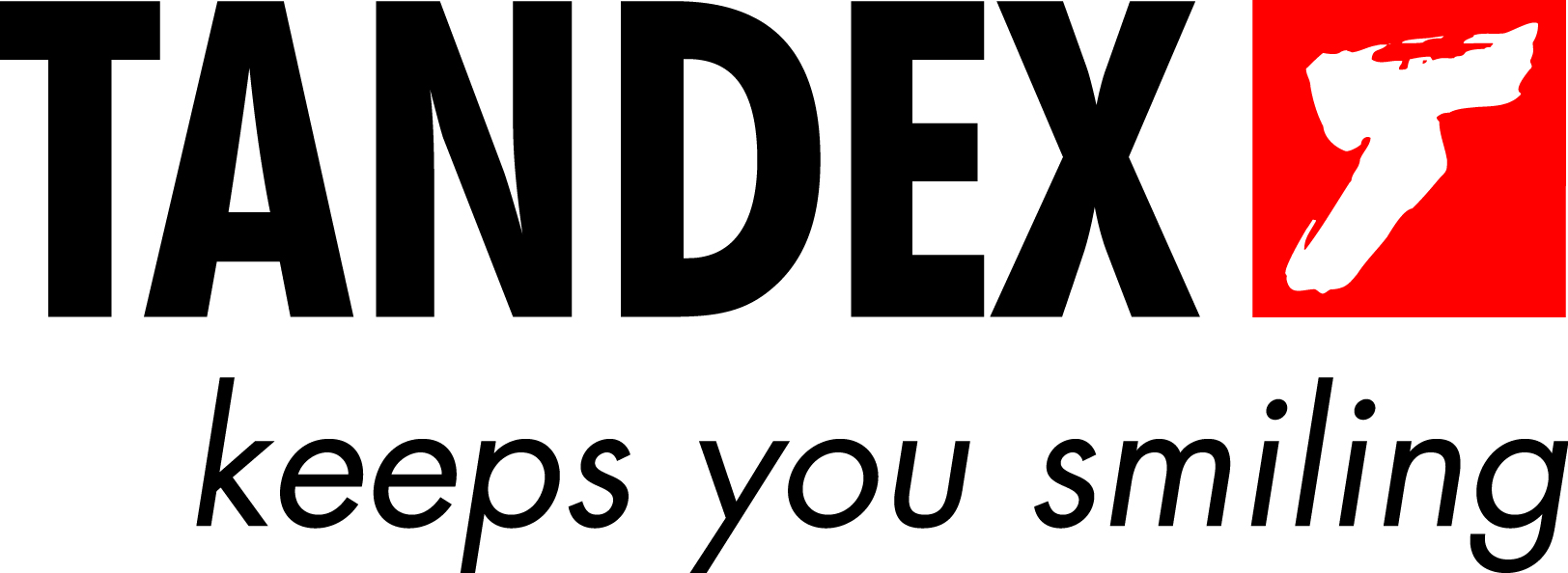 TANDEX Logo
